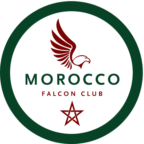 Marocco falcon club